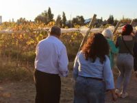 Nuevo proyecto vitivinícola con identidad neuquina