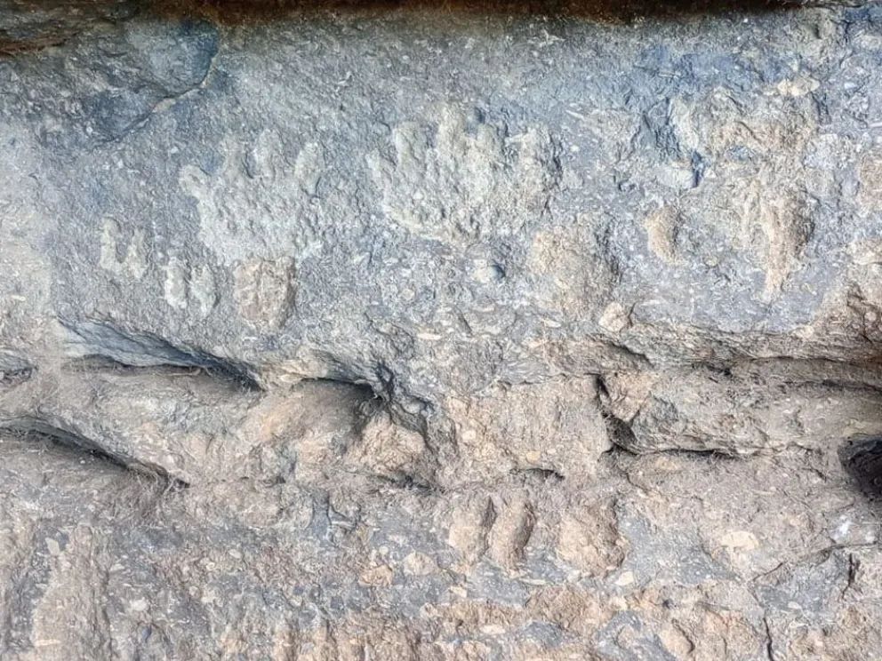 Investigando el pasado, buscan herramientas para el presente