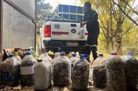 Recolectaron más de 2,5 toneladas de pilas usadas en la provincia