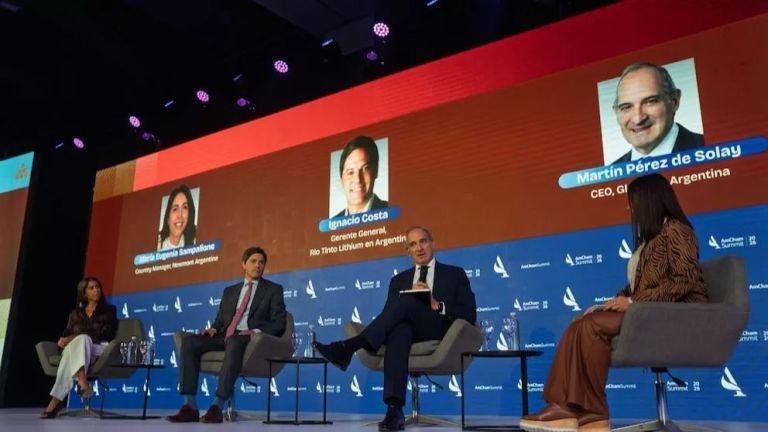 Boom minero: la Argentina entra en el radar global y capta inversiones ...