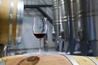 Neuquén celebra el Día Mundial del Malbec con propuestas en toda la provincia