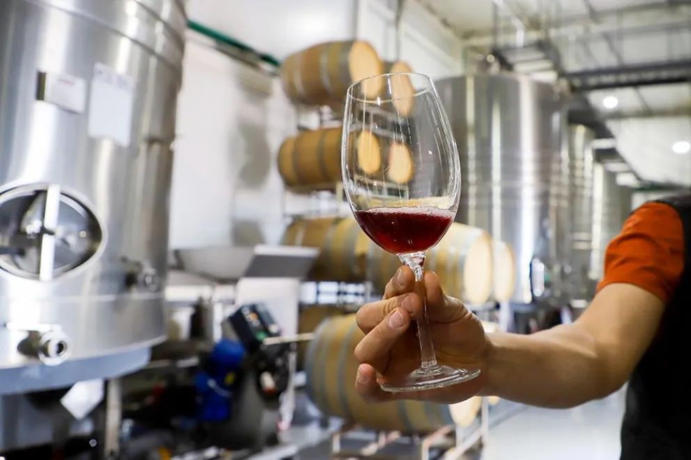 Neuquén celebra el Día Mundial del Malbec con propuestas en toda la provincia