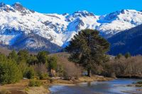 Se conmemoró el Día Provincial de la Identidad Neuquina