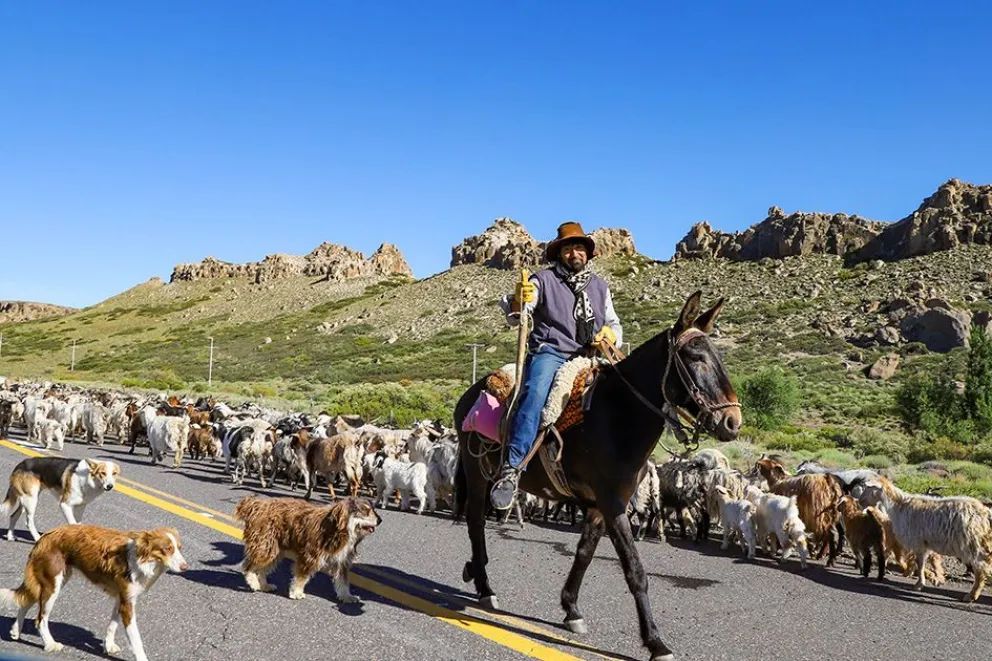 Se conmemoró el Día Provincial de la Identidad Neuquina