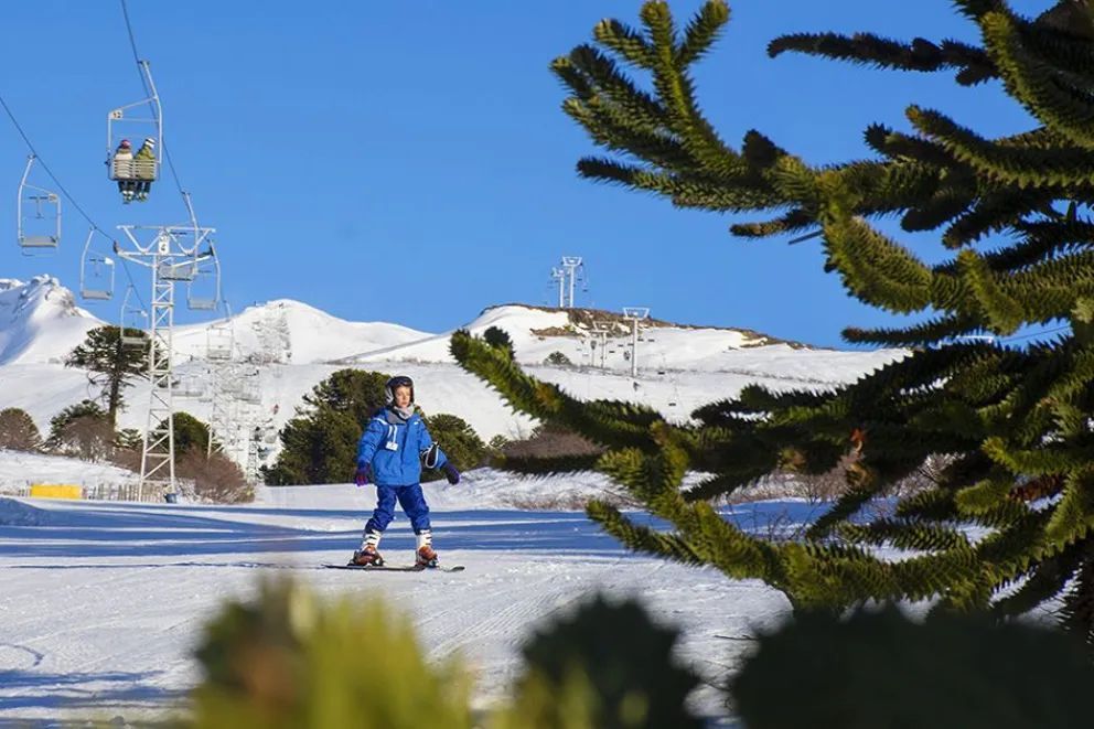 Se conmemoró el Día Provincial de la Identidad Neuquina