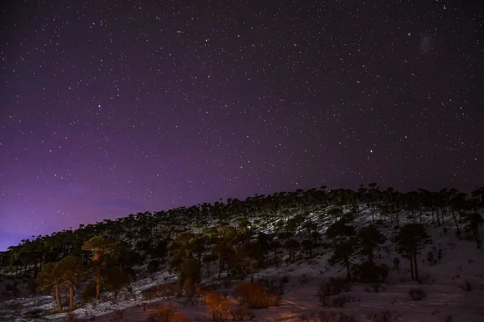 Se conmemoró el Día Provincial de la Identidad Neuquina