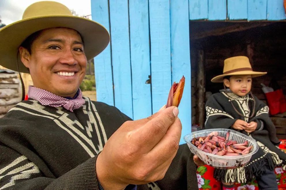 Se conmemoró el Día Provincial de la Identidad Neuquina