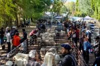 Se vienen nuevas ferias de reproductores ovinos y caprinos del norte neuquino