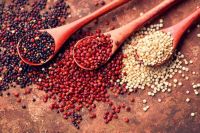 Con un recetario, rescatan el valor de la quinoa criolla del Alto Neuquén