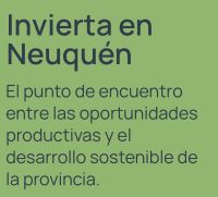 En un contexto adverso, Neuquén consolida su perfil productivo