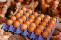 La cantidad de huevos que se recomienda comer en la semana