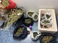 Secuestraron armas y drogas en varios allanamientos en Centenario