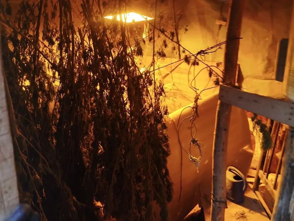 Secuestraron armas y drogas en varios allanamientos en Centenario