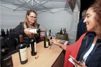 Los vinos patagónicos como protagonistas