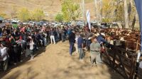 Se vendió el 100% de la hacienda ingresada en la 5° Feria de Invernada