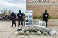 Secuestran drogas, un arma y elementos robados en dos allanamientos