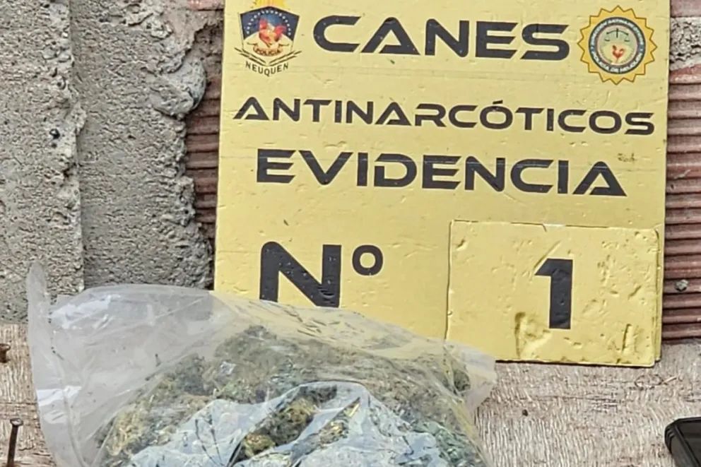 Fueron por una estafa y hallaron drogas