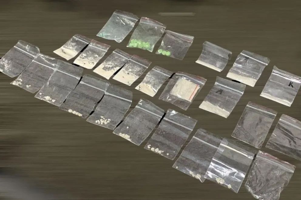 Secuestraron gran cantidad de drogas y armas en el oeste de Neuquén