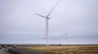 Sin “impuesto al viento”, el Gobierno busca blindar inversiones y acelerar el desarrollo renovable