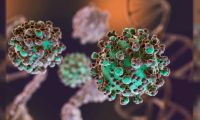 Hantavirus: el total de casos en Argentina asciende a 102