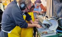 El CFP 15 ofrece una formación que pone en valor rocas y minerales neuquinos