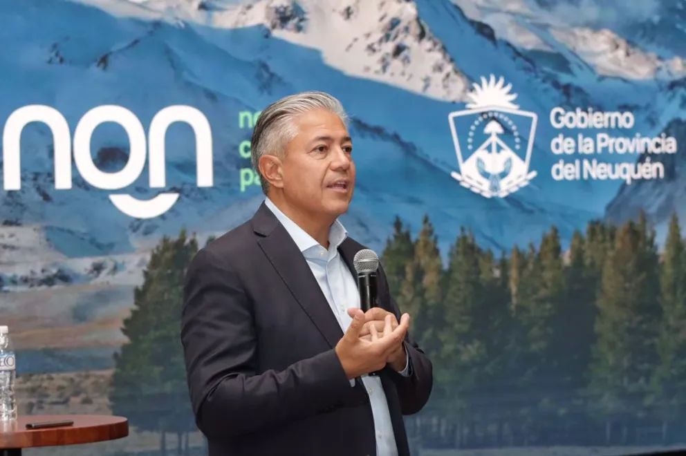Figueroa aseguró que el RIGI “nos hace competitivos frente a Estados Unidos”