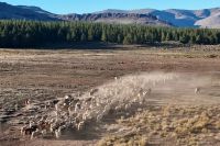 Con más inversión y apoyo técnico, la provincia busca amortiguar el impacto de la sequía