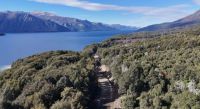 Más del 54% de la obra ejecutada en la Ruta Provincial 65 hacia Villa Traful