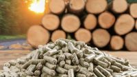 Neuquén avanza con una planta de pellets y suma una nueva alternativa energética sustentable