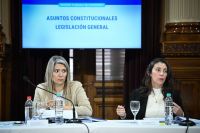 Senado: hay dictamen sobre propiedad privada y las provincias definirán compra de tierras de extranjeros