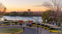 La ciudad de Neuquén ya tiene su primera flota de colectivos 100% eléctricos