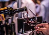 Neuquén desembarca por primera vez en Vinos & Negocios