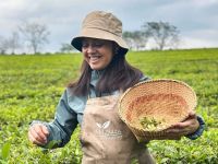 De San Martín de los Andes a Misiones: una neuquina ganó el premio al Mejor Blend de Té de Argentina