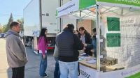 Récord de ventas de chivitos y corderos del Norte Neuquino en el Mercado Concentrador