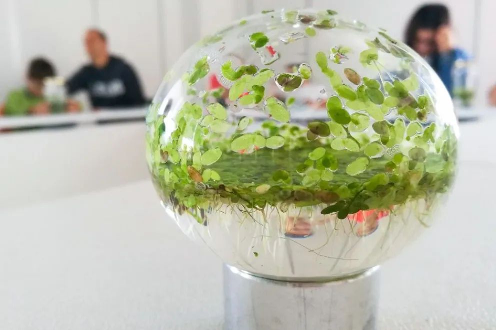 Impulsan una innovadora formación con foco en el valor del agua