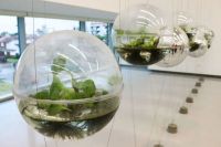 Impulsan una innovadora formación con foco en el valor del agua