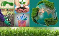 Día Mundial del Medio Ambiente: 3 pequeños cambios para generar un impacto positivo