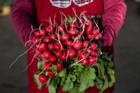 Las buenas prácticas agrícolas se consolidan en la producción frutihortícola neuquina