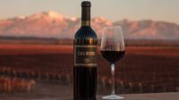 Casa Boher apuesta a la guarda prolongada con su nuevo Gran Malbec 2018