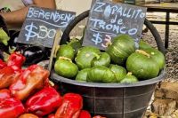 Una tarde de chacra y tradición: Buena Vida celebra su feria de junio
