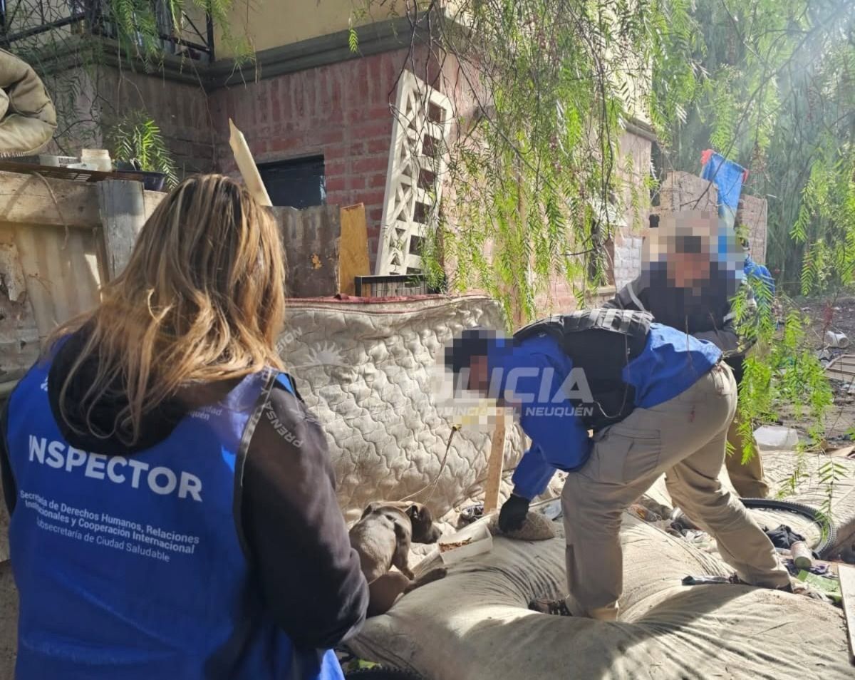 Rescataron a un perro víctima de maltrato animal en Melipal