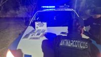 Con ayuda de perros secuestraron droga en Plottier