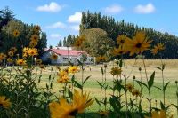 Los Chalets: 25 años de hospitalidad entre álamos, acequias y sabores de chacra
