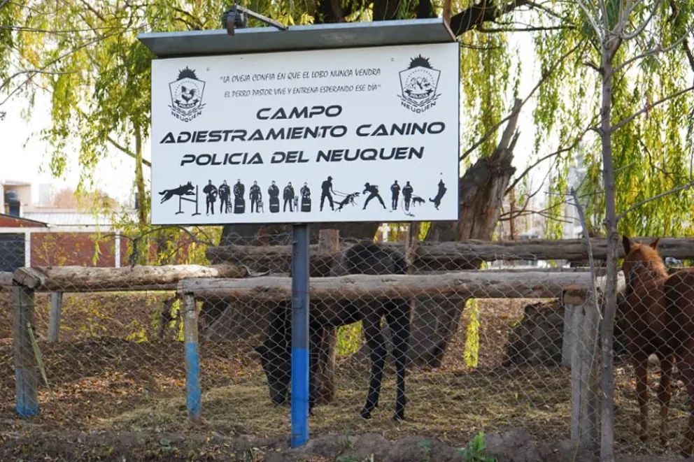 Con nuevo equipamiento, Policía del Neuquén fortalece la atención veterinaria de sus canes y equinos