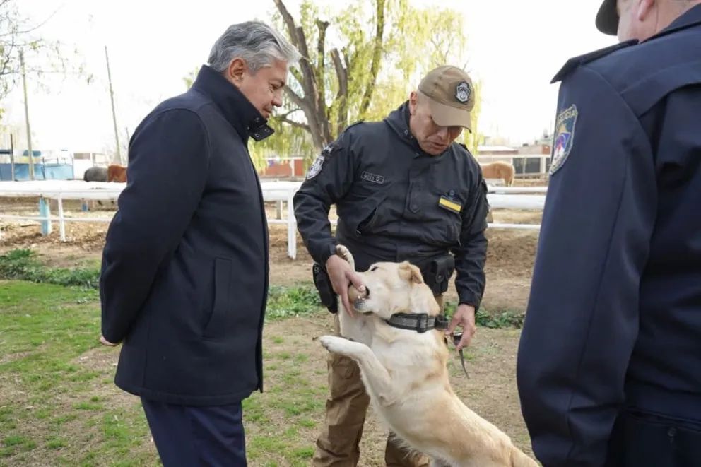Con nuevo equipamiento, Policía del Neuquén fortalece la atención veterinaria de sus canes y equinos