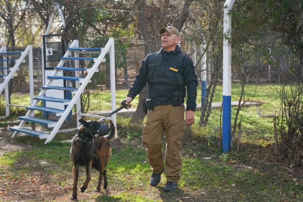 Con nuevo equipamiento, Policía del Neuquén fortalece la atención veterinaria de sus canes y equinos