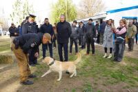 Con nuevo equipamiento, Policía del Neuquén fortalece la atención veterinaria de sus canes y equinos