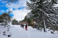 Batea Mahuida se prepara para abrir la temporada de invierno el 1 de julio