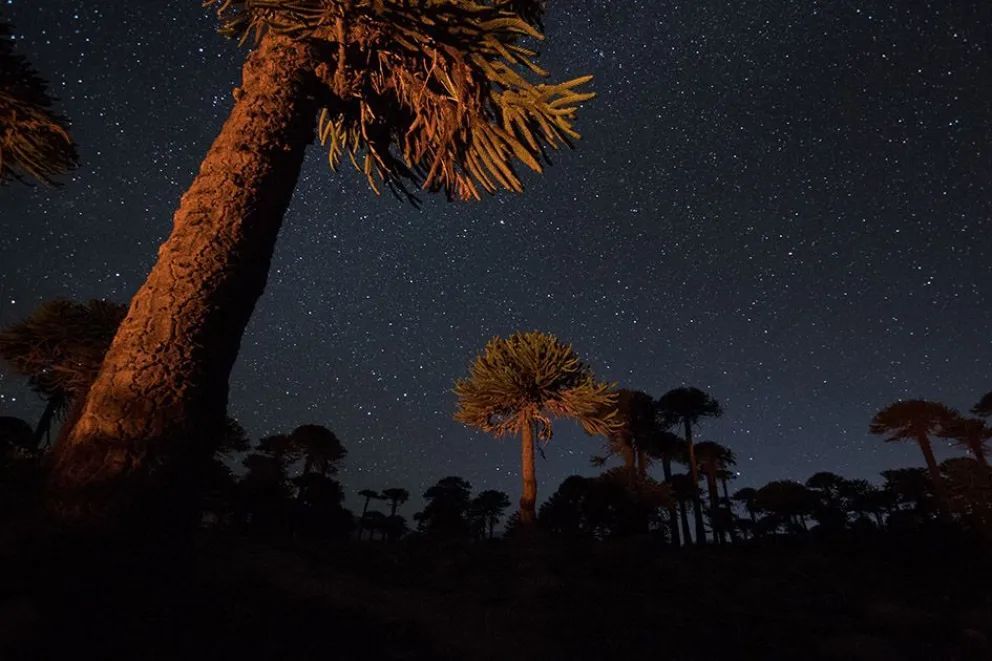 El cielo como protagonista: paisajes nocturnos que revelan otra cara de Neuquén