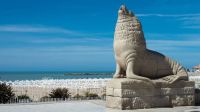 Preocupación en Mar del Plata: se vienen una de las peores vacaciones de invierno de la historia